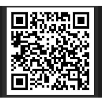 牛策略官网入口