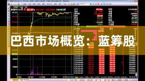 巴西市场概览：蓝筹股